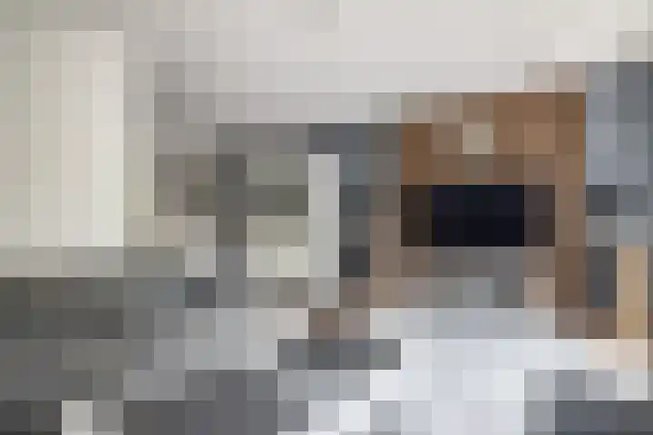 Grutto 12 Staphorst thumbnail 4