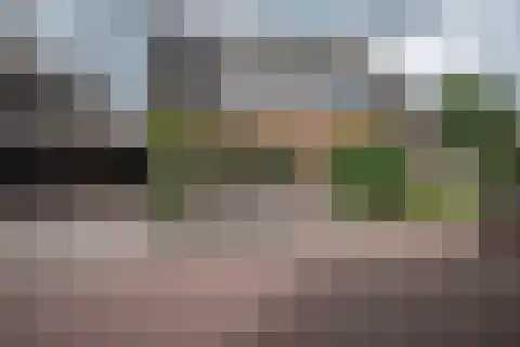 Grutto 12 Staphorst thumbnail 42