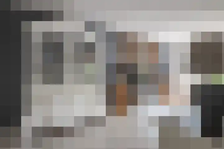 Grutto 12 Staphorst thumbnail 5