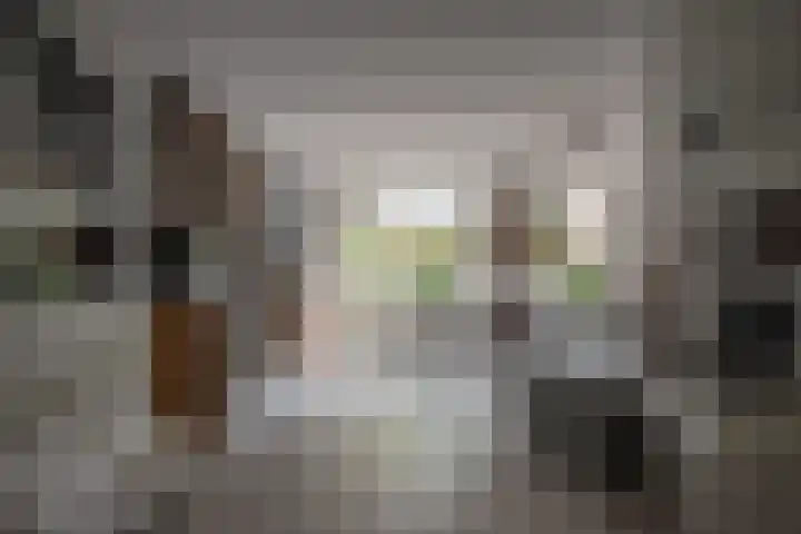 Grutto 12 Staphorst thumbnail 6