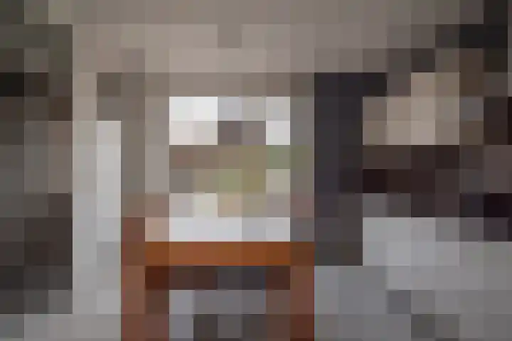 Grutto 12 Staphorst thumbnail 8