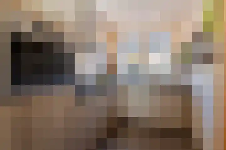 Grutto 13 Meerkerk thumbnail 12