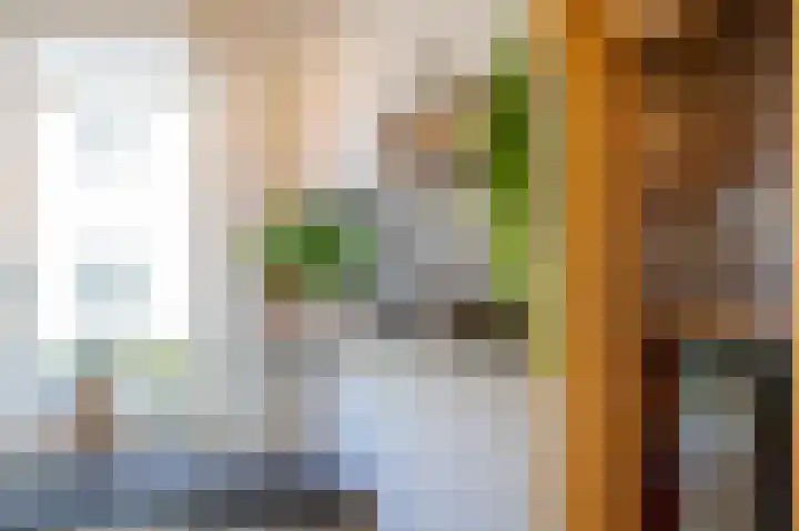 Grutto 13 Meerkerk thumbnail 15