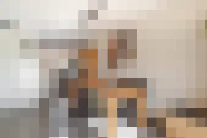 Grutto 13 Meerkerk thumbnail 18