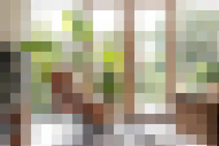 Grutto 13 Meerkerk thumbnail 19