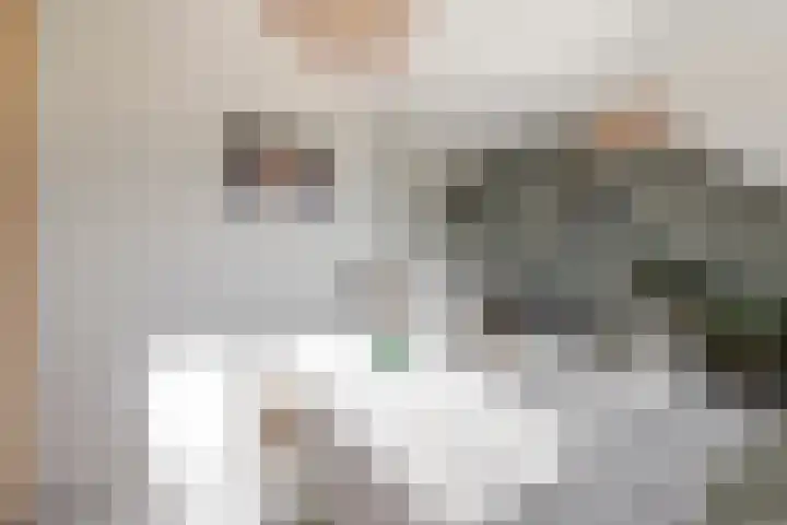 Grutto 13 Meerkerk thumbnail 36