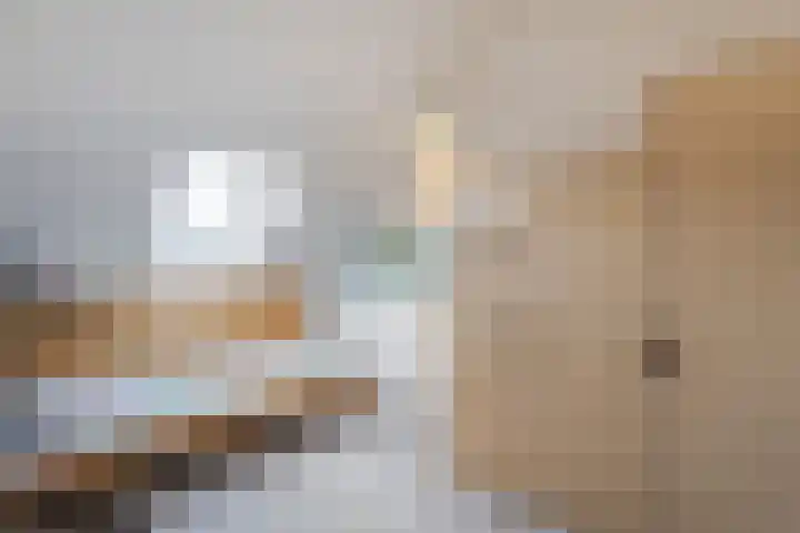 Grutto 13 Meerkerk thumbnail 37