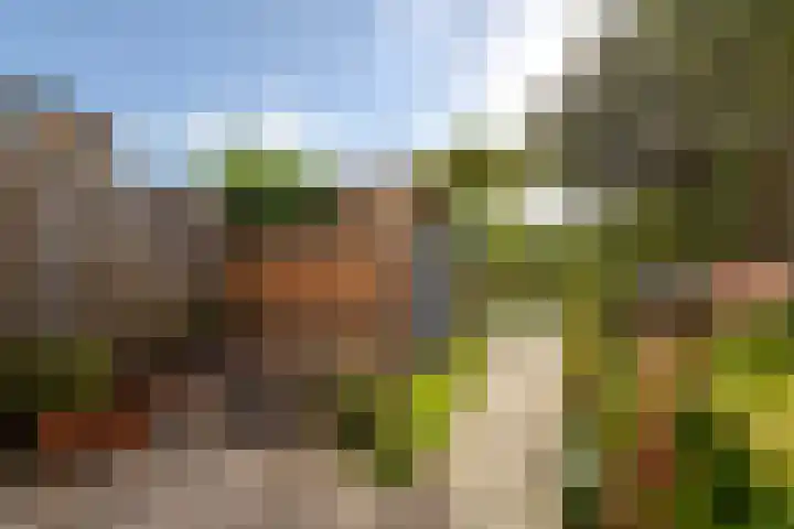Grutto 13 Meerkerk thumbnail 39