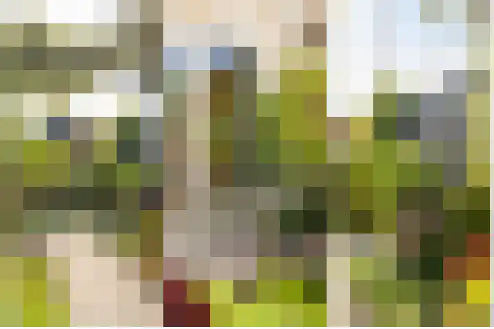 Grutto 13 Meerkerk thumbnail 43