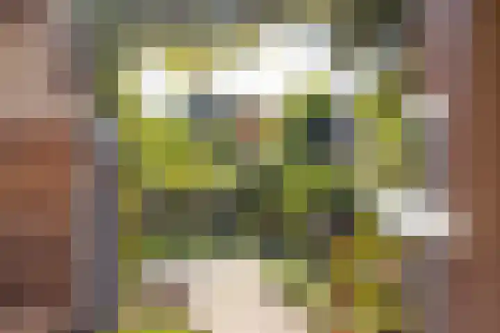 Grutto 13 Meerkerk thumbnail 44