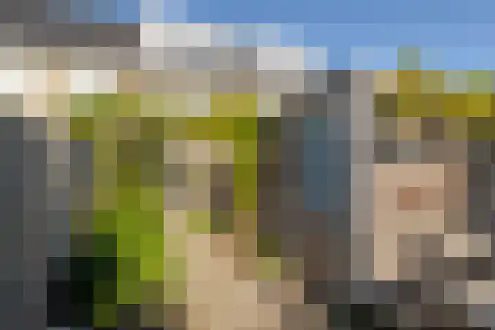 Grutto 13 Meerkerk thumbnail 45