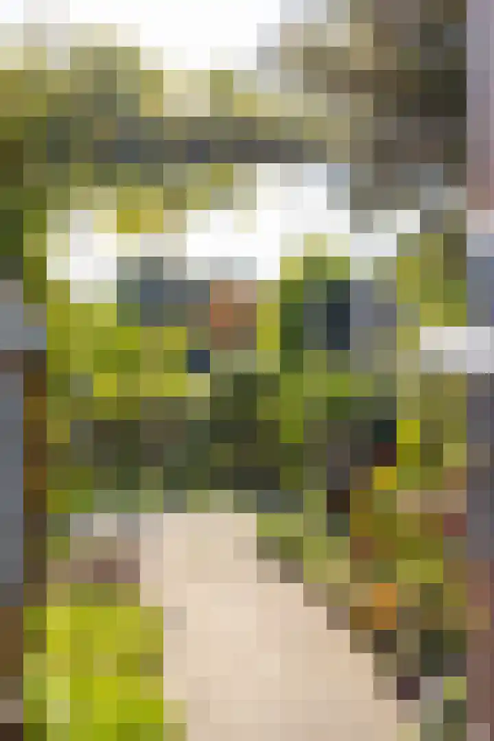 Grutto 13 Meerkerk thumbnail 46
