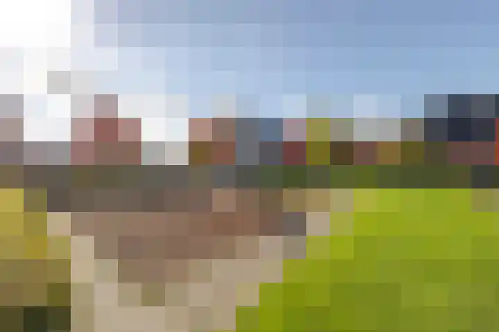 Grutto 13 Meerkerk thumbnail 58