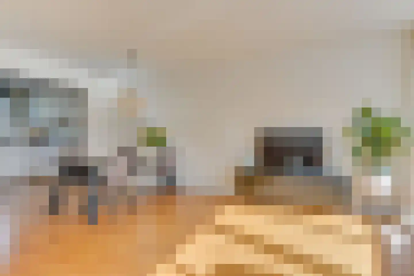 Grutto 13 Obdam thumbnail 13