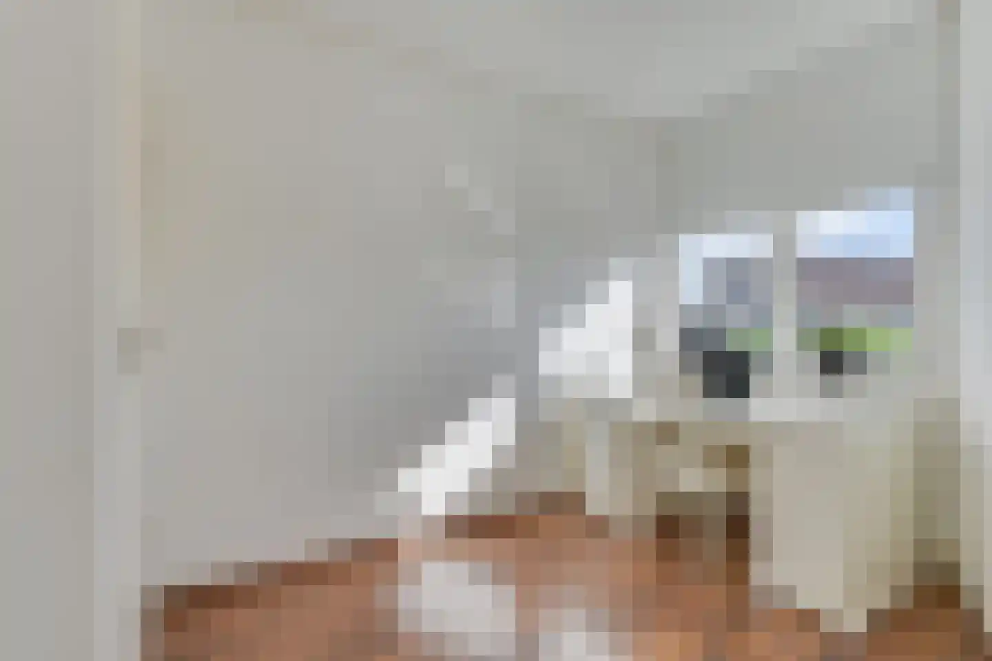 Grutto 13 Obdam thumbnail 38