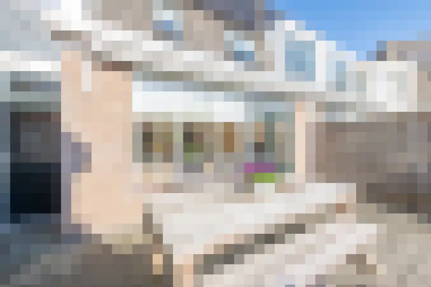 Grutto 13 Obdam thumbnail 51