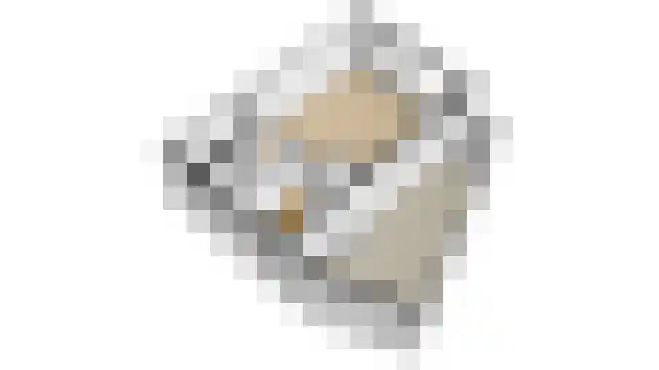 Grutto 13 Obdam thumbnail 59