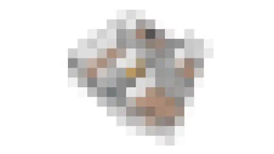 Grutto 13 Obdam thumbnail 62