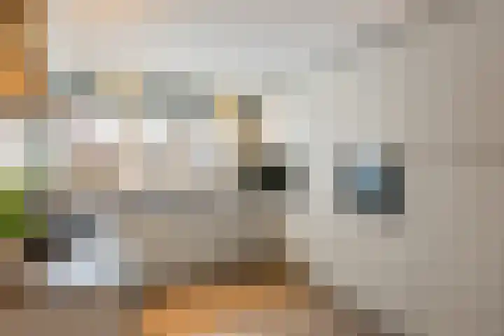 Grutto 14 Wijhe thumbnail 14