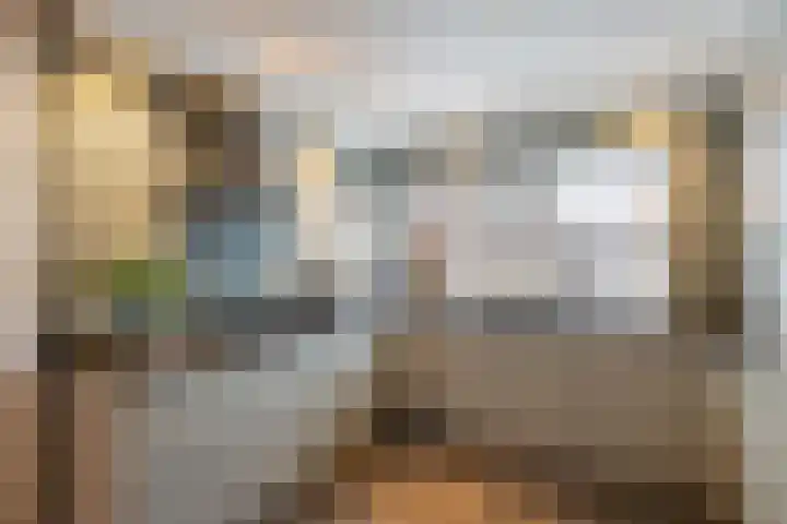 Grutto 14 Wijhe thumbnail 15
