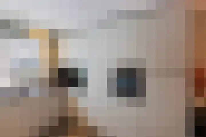 Grutto 14 Wijhe thumbnail 16