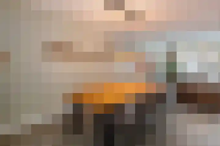 Grutto 14 Wijhe thumbnail 17