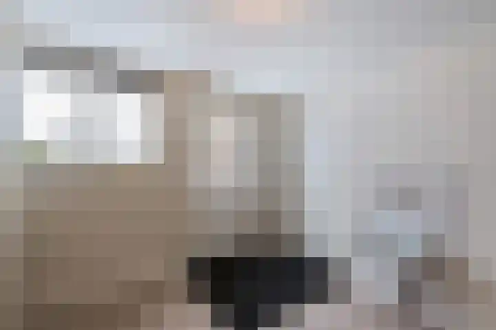 Grutto 14 Wijhe thumbnail 20