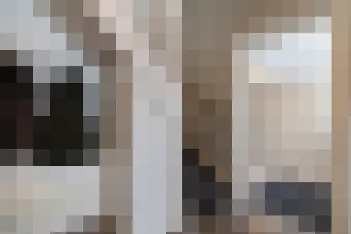 Grutto 14 Wijhe thumbnail 22