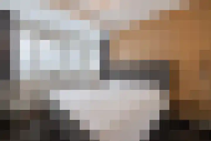 Grutto 14 Wijhe thumbnail 24