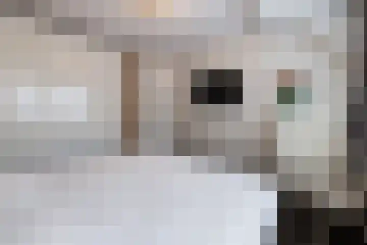 Grutto 14 Wijhe thumbnail 25