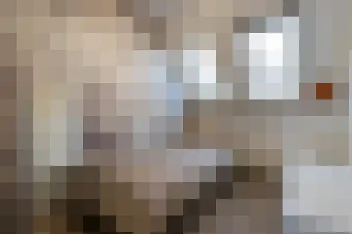 Grutto 14 Wijhe thumbnail 26