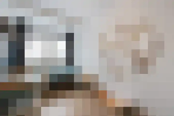 Grutto 14 Wijhe thumbnail 27