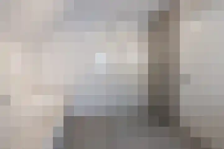 Grutto 14 Wijhe thumbnail 29