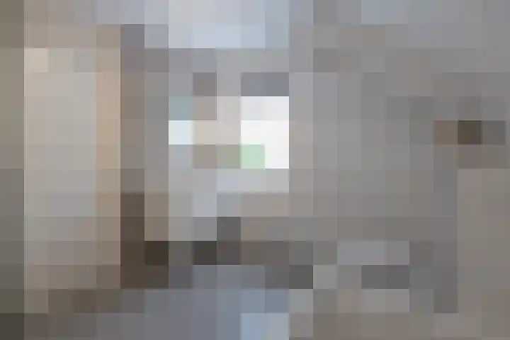 Grutto 14 Wijhe thumbnail 30