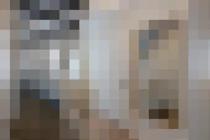 Grutto 14 Wijhe thumbnail 33