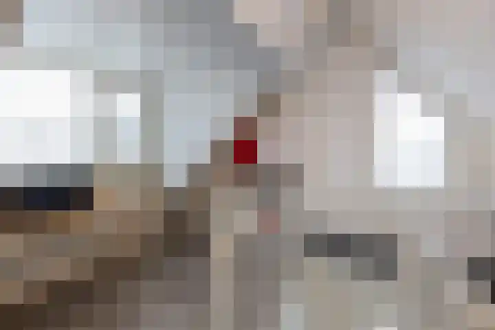 Grutto 14 Wijhe thumbnail 35