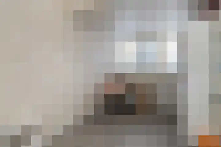 Grutto 14 Wijhe thumbnail 37
