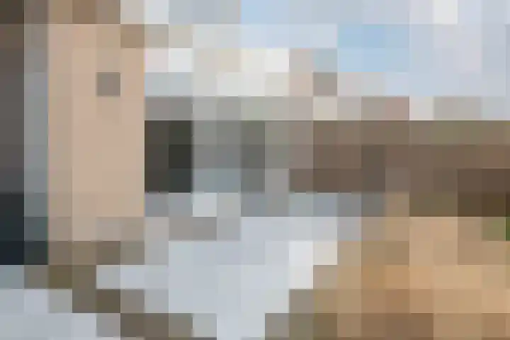 Grutto 14 Wijhe thumbnail 42