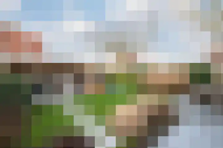 Grutto 14 Wijhe thumbnail 43