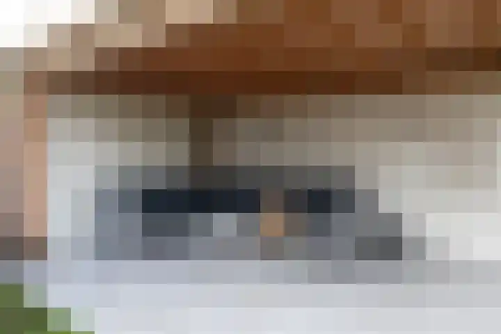 Grutto 14 Wijhe thumbnail 45