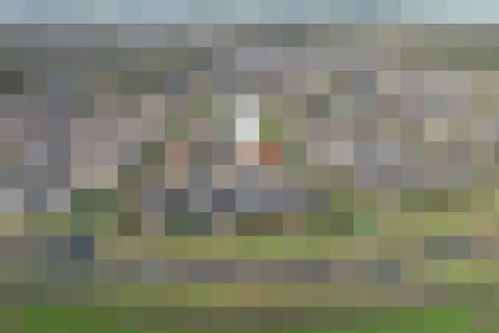 Grutto 14 Wijhe thumbnail 46