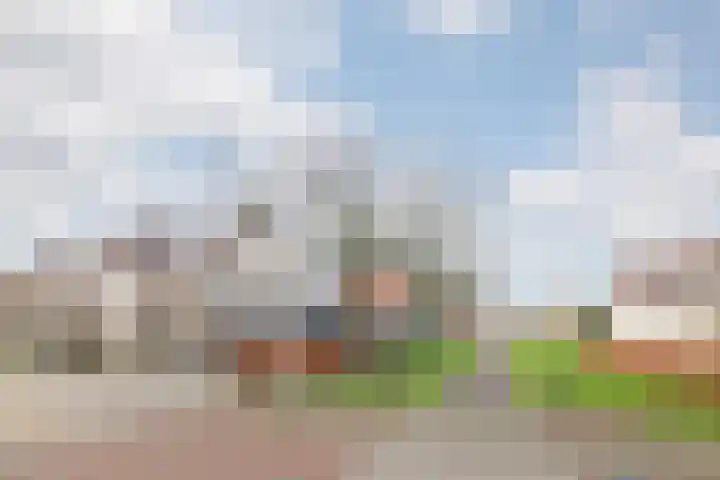 Grutto 14 Wijhe thumbnail 5