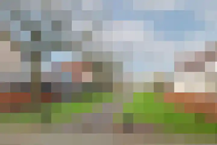 Grutto 14 Wijhe thumbnail 6