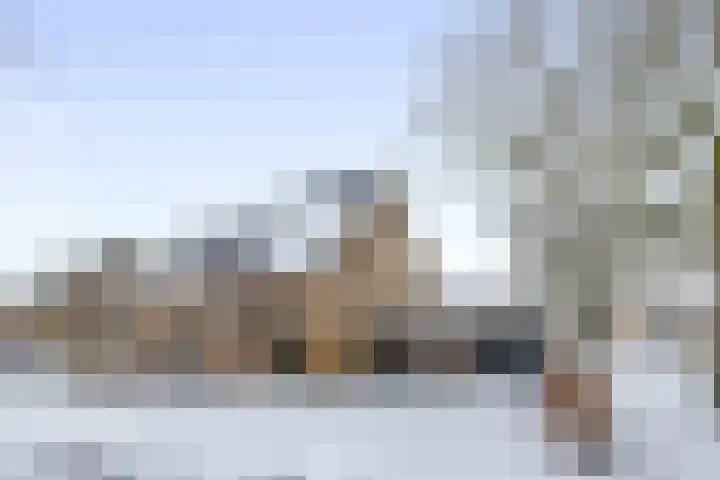 Grutto 14 Wijhe thumbnail 7