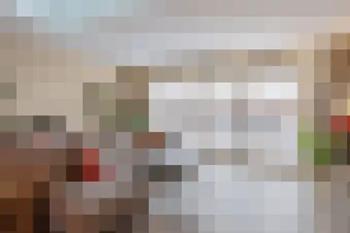 Grutto 14 Wijhe thumbnail 8