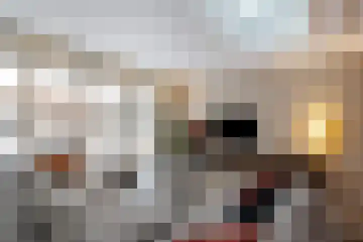 Grutto 14 Wijhe thumbnail 9