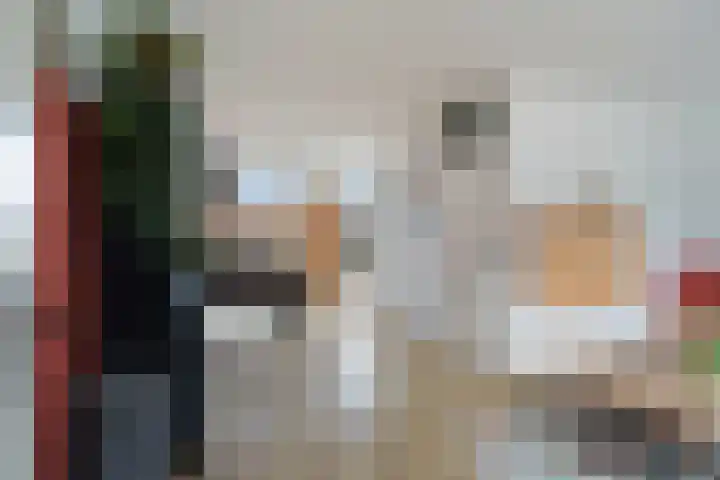 Grutto 15 Berkel en Rodenrijs thumbnail 10