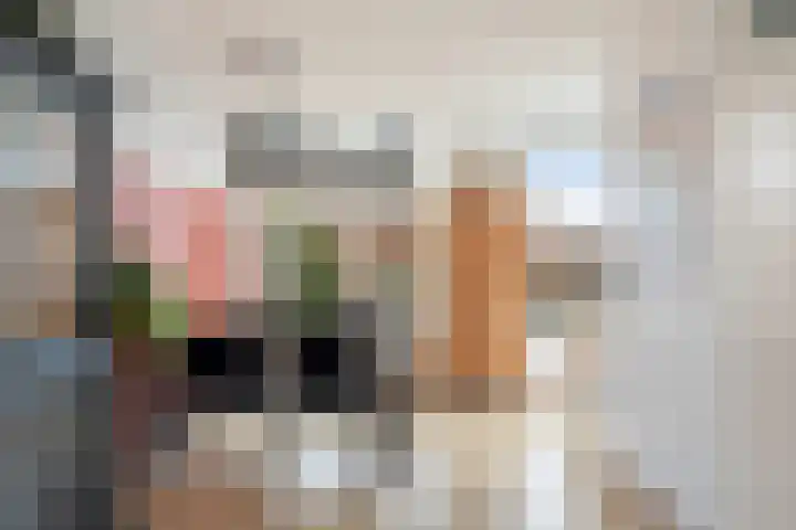 Grutto 15 Berkel en Rodenrijs thumbnail 13
