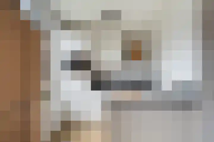 Grutto 15 Berkel en Rodenrijs thumbnail 16