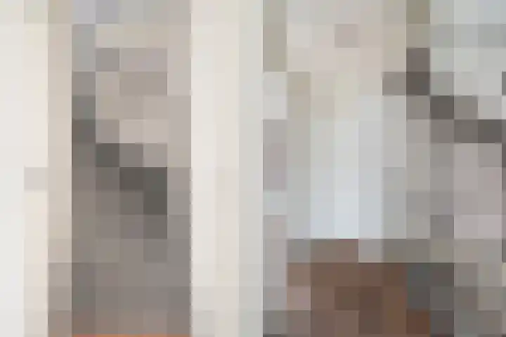 Grutto 15 Berkel en Rodenrijs thumbnail 22